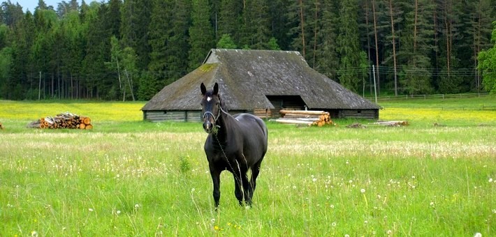 Parc national du Gauja