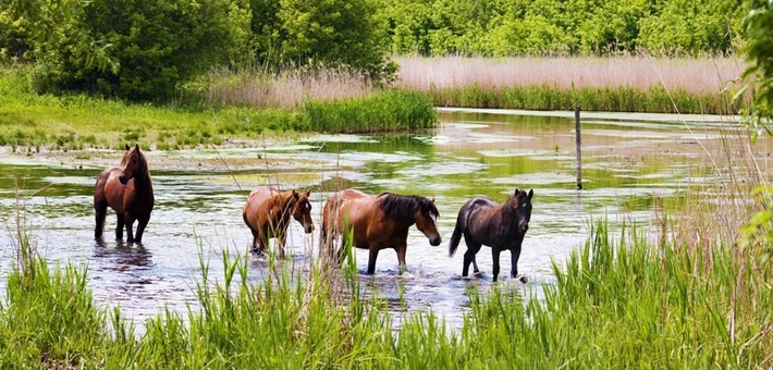 Parc National du Gauja