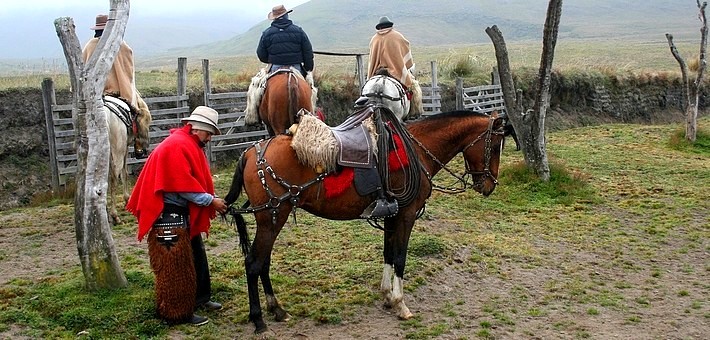 Chagras harnachant son cheval 