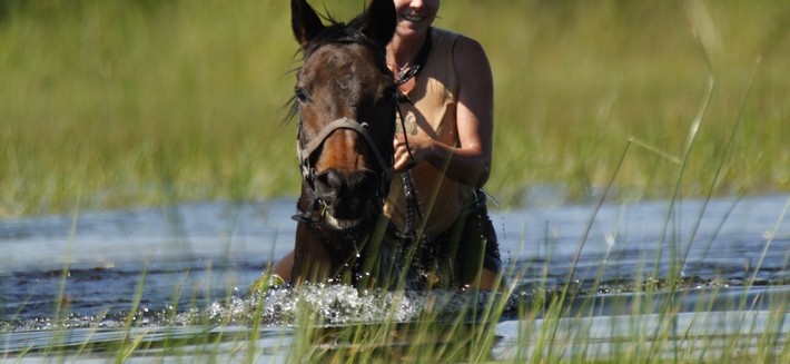 Conseils de sécurité pour nager et se baigner avec son cheval