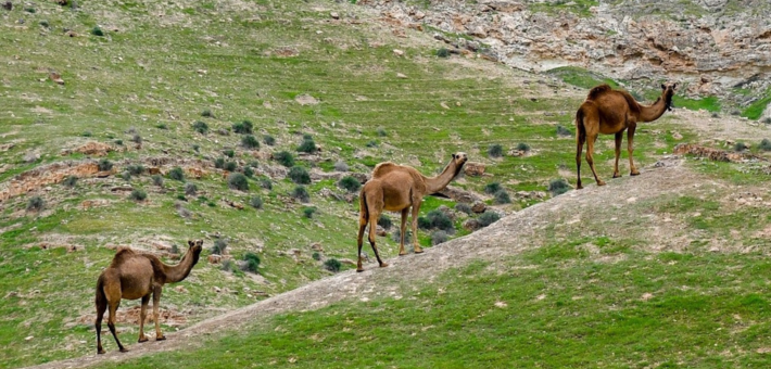 Quand partir en Israël ?