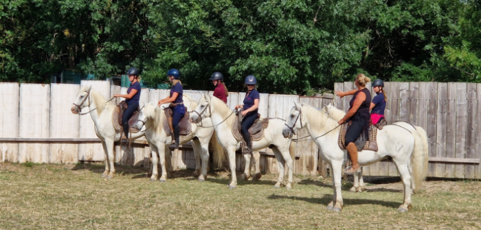 L'équipe Caval&go en immersion en Camargue !