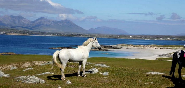 Le Connemara Le Connemara