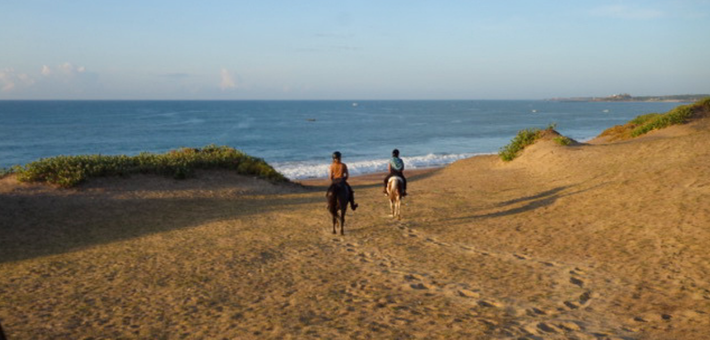 Quand partir au Sri Lanka pour une randonnée à cheval ?