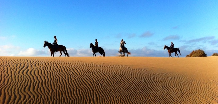 Peut-on faire une randonnée à cheval dans le désert ?