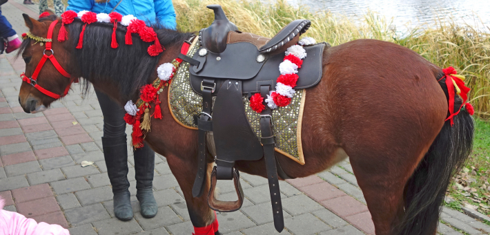 Rituels équestres à travers le monde