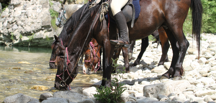 Quand partir en Albanie pour une randonnée à cheval ?
