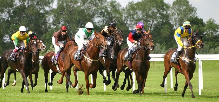 Une Reine passionnée de courses hippiques 