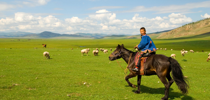 A la découverte du Naadam, fête nationale de la Mongolie 