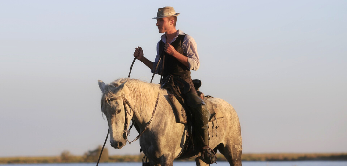 Le cheval Camargue : Le cheval Camargue :