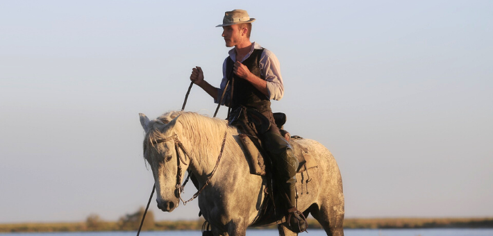 Le cheval Camargue : 