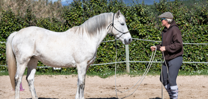 L'équitation éthologique en France L'équitation éthologique en France
