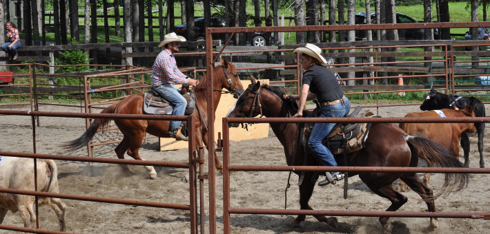 En quoi consistent les compétitions d'équitation de travail ? En quoi consistent les compétitions d'équitation de travail ?