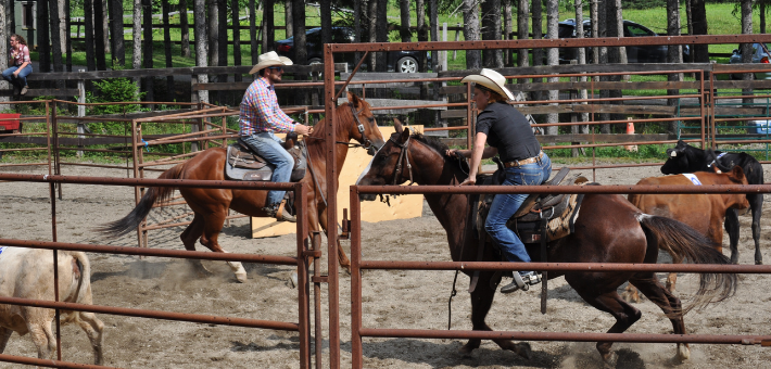 En quoi consistent les compétitions d'équitation de travail ?