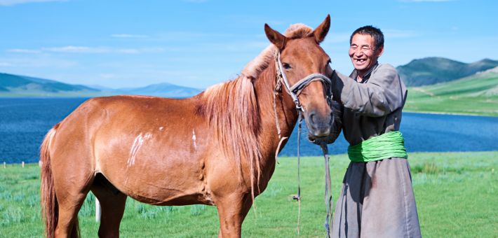Le cheval Mongol 