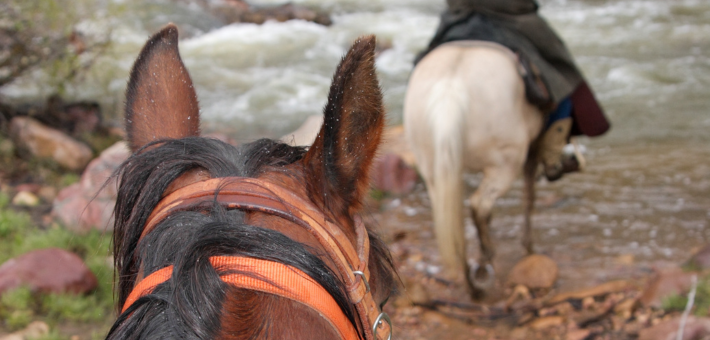 Randonner à cheval par mauvais temps