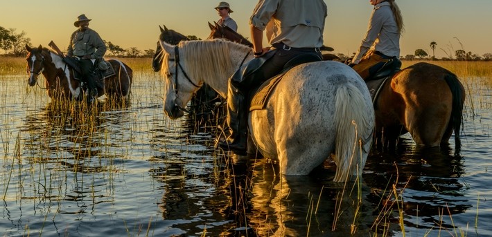 Les bienfaits d'une baignade pour votre cheval et son cavalier