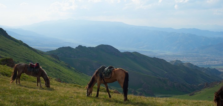 Equipements et accessoires pour une rando à cheval en Asie