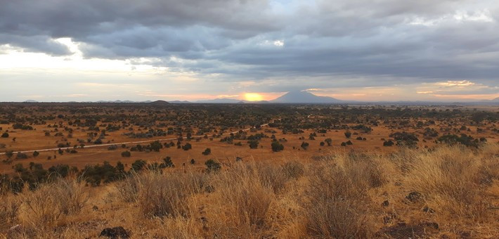 Quand partir en Tanzanie