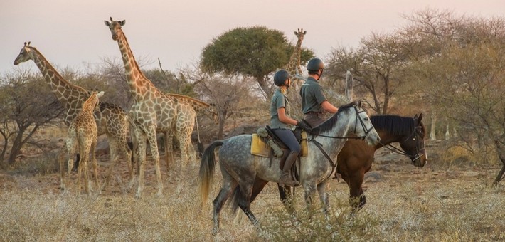 Equipements et accessoires pour une rando à cheval en Afrique et Moyen-Orient Equipements et accessoires pour une rando à cheval en Afrique et Moyen-Orient