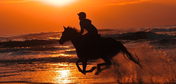 Equipements et accessoires pour une rando à cheval en France 