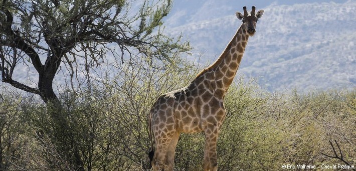 Formalités pour voyager en Namibie