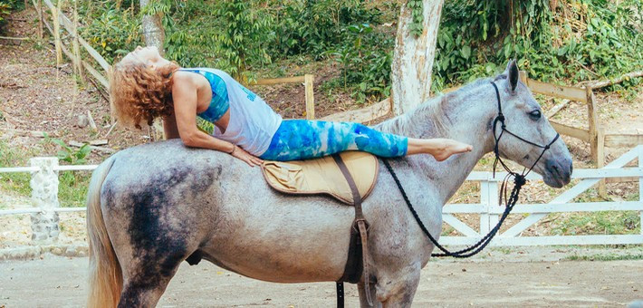 Harmonie entre chevaux et bien être, l’histoire de Terry Newton