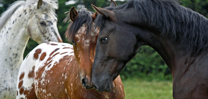 Une santé à surveiller