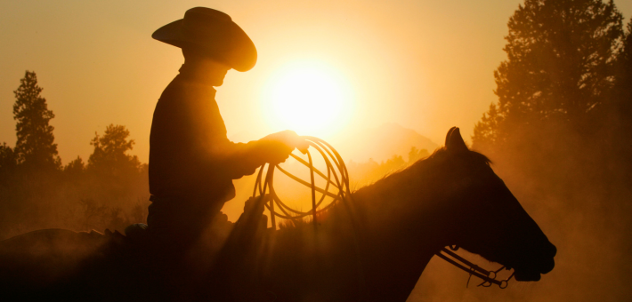 Nos voyages avec les Appaloosas