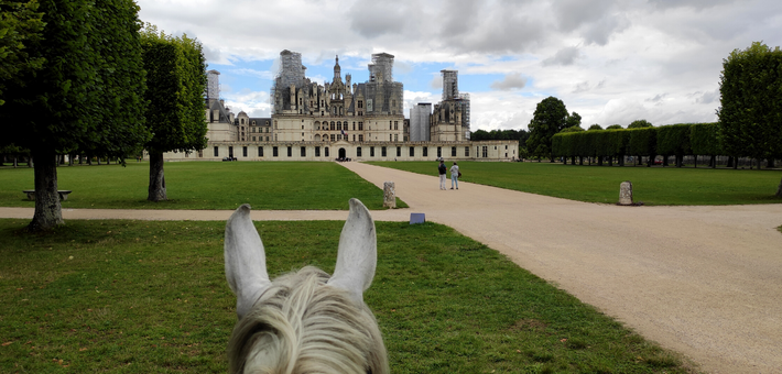 Jour 2. Château de Chambord