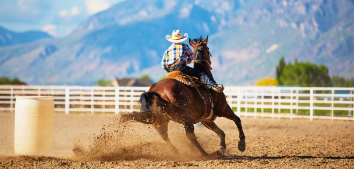 Les disciplines de l’équitation western