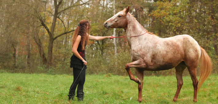 Equitation Ethologique