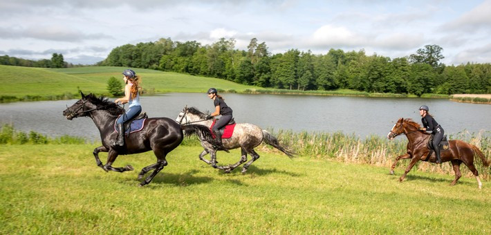 Quand partir en Pologne pour une randonnée à cheval ?