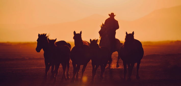 Plus qu'un voyage à cheval, une immersion culturelle