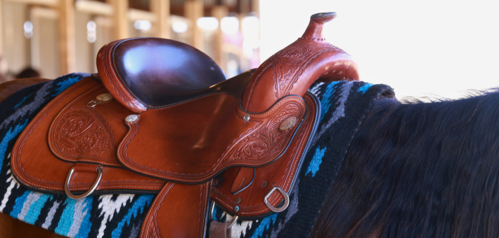 Découvrir l'équitation western