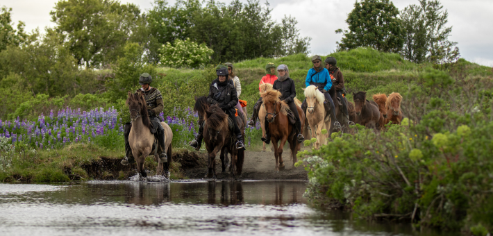 Voyager à cheval quel que soit votre poids - Nos séjours adaptés