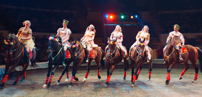 Le Spectacle Équestre : Une Fusion de Tradition, d'Art et de Passion
