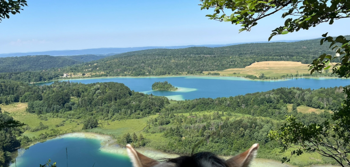 Pourquoi le Jura ? Pourquoi le Jura ?