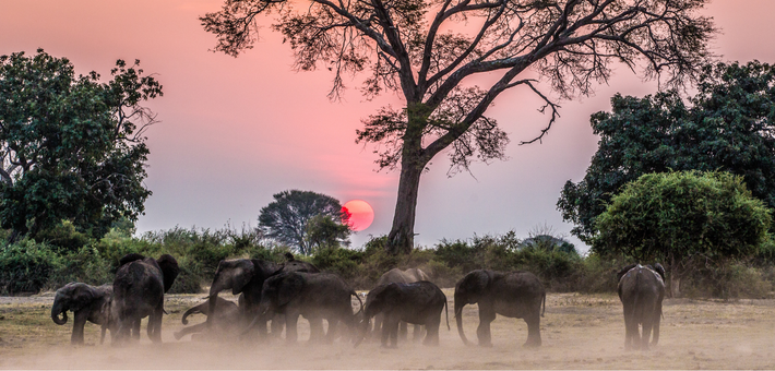 La meilleure période pour partir au Zimbabwe