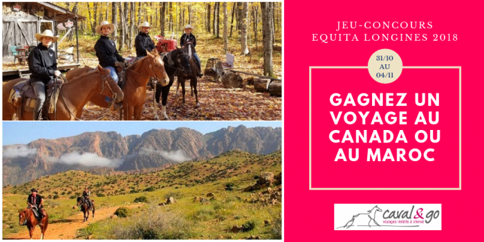 Concours Caval&go à Equita Longines Lyon 2018