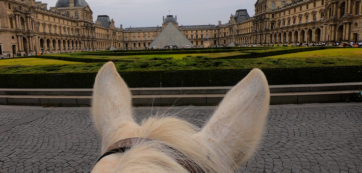 L'arrivée au Louvre
