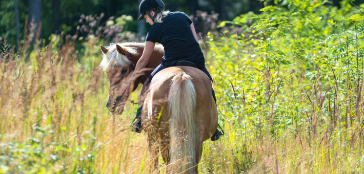 Pourquoi la souscrire ?