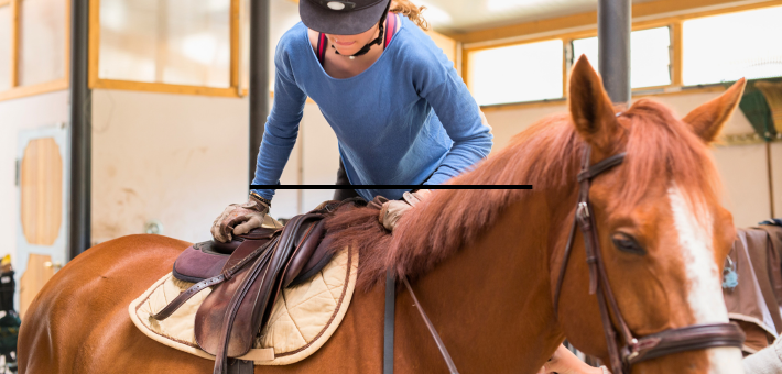 Les différentes licences