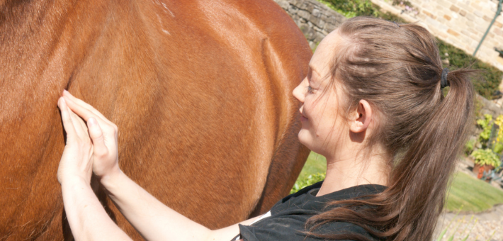 Pansage et massage : écouter le corps du cheval en voyage