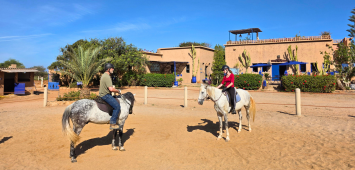 Comment Thierry enseigne-t-il et quel est son style avec les participants et les chevaux ?