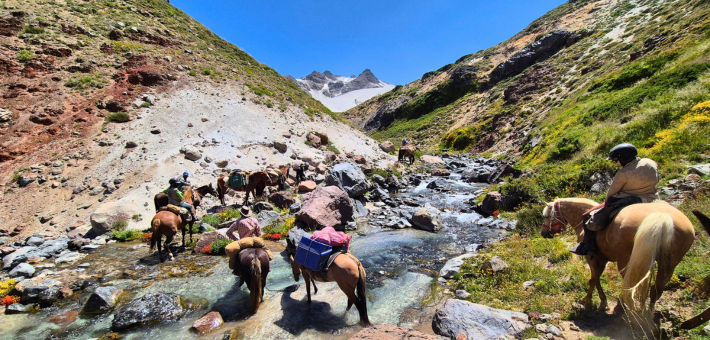 Comment as-tu géré le climat ?