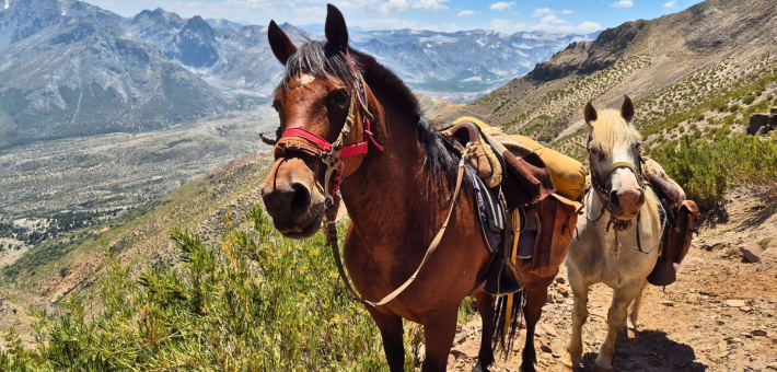 Y a t-il un objet que tu es contente d'avoir pris avec toi avant ton départ ?