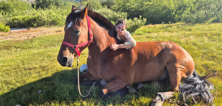 Comment était ton cheval ?