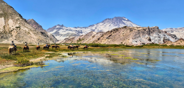 Au cœur de la Cordillère des Andes : retour sur le voyage de notre experte Ophélie au Chili