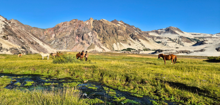 As-tu une anecdote du séjour à nous partager ?